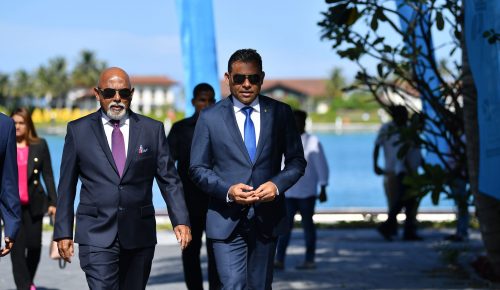 Naibu raees