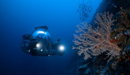 Maldives Nekton Trapping Zone