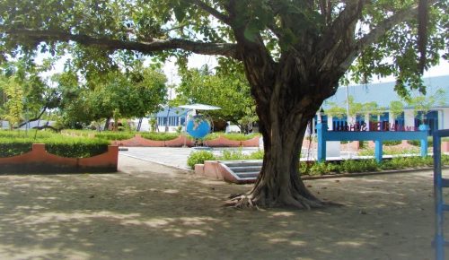 GEMANAFUSHI SKUL
