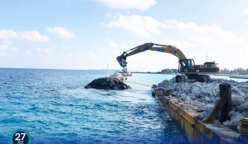 Gaddhoo 3