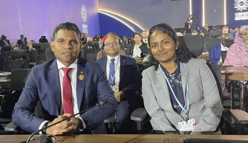 Naibu Raees