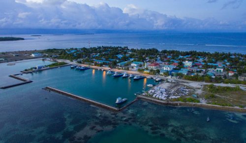 dhaandhoo
