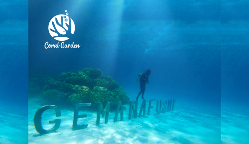 gemanafushi coral garden