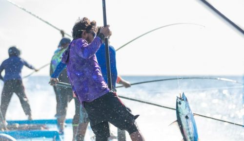 pole-and-line-fishing-3-1024x682