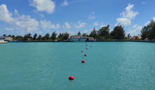 viber_image_2021-06-03_07-50-19